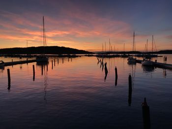 Sailboats in marina at sunset