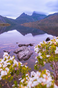 Scenic view of lake against sky