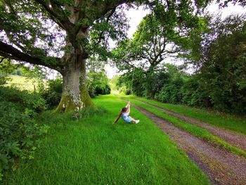 Swinging from the tree