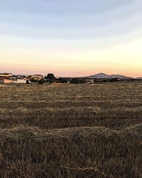 Scenic view of field against sky during sunset