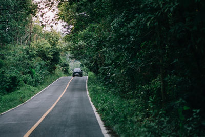 Car on road amidst trees in forest