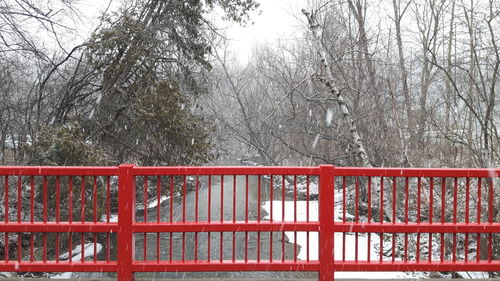 Bare trees against sky