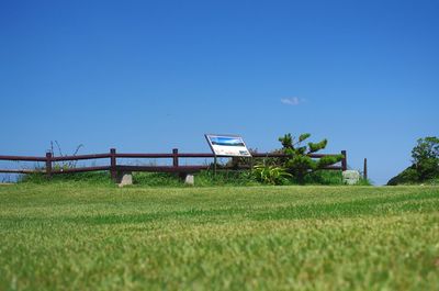 Scenic view of field against clear blue sky