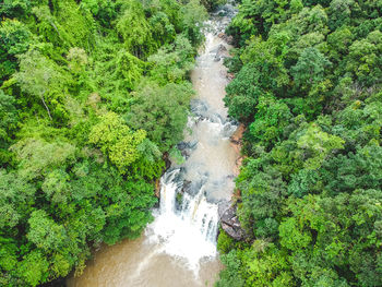 High angle view of waterfall amidst trees in forest