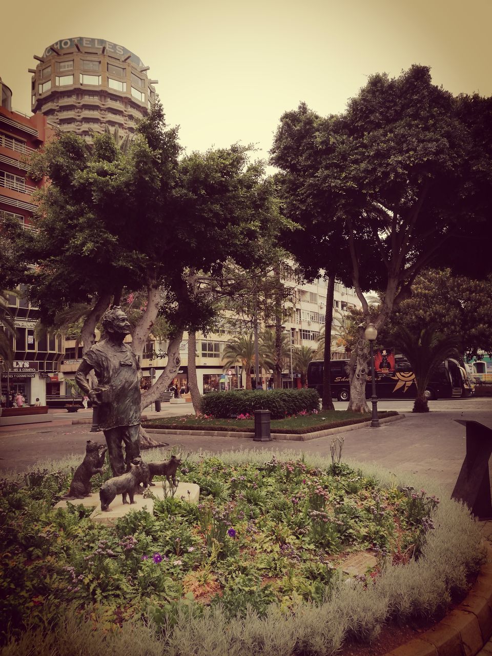 TREES AND PLANTS IN CITY