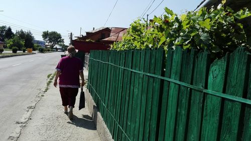 Rear view of woman with umbrella walking on road