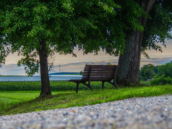 Empty bench on grassy field