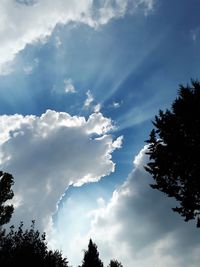 Low angle view of trees against cloudy sky