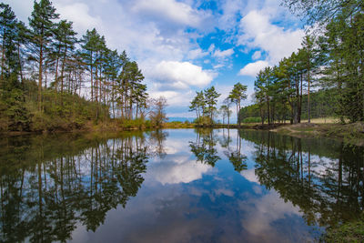 Scenic view of lake by trees against sky