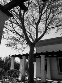 architecture
