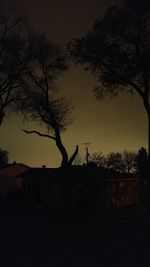 Silhouette of tree against sky