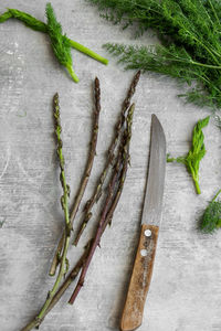 High angle view of vegetables in container