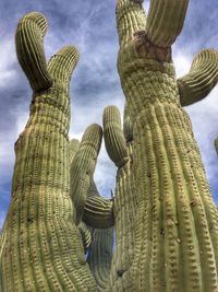 Low angle view of cactus statue against sky