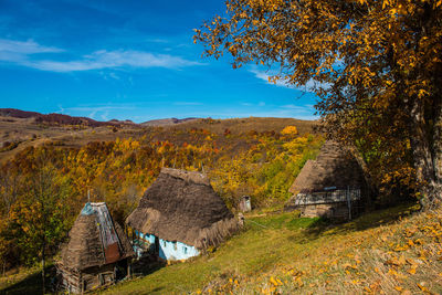 Abandoned wooden house with thatched roof in the mountains. colorful autumn forest