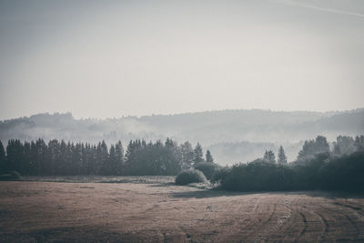 Trees on field against sky