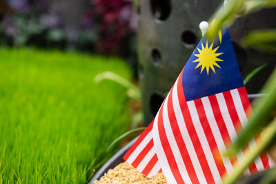 Close-up of flag against blue sky