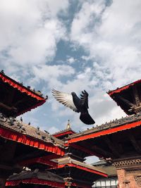 Low angle view of birds flying against sky