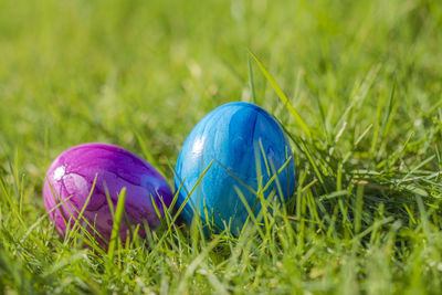 Close-up of easter eggs on grassy field