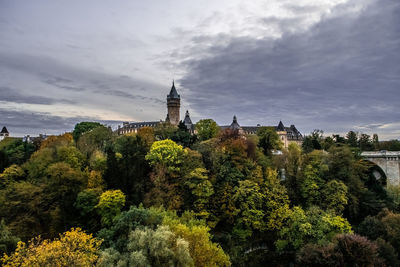 Plants growing outside building against sky
