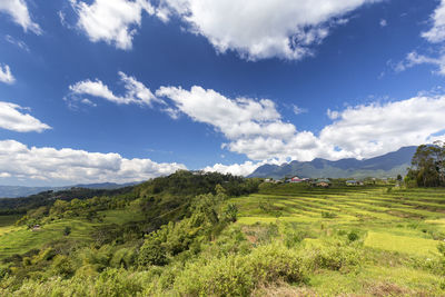 Scenic view of field against sky