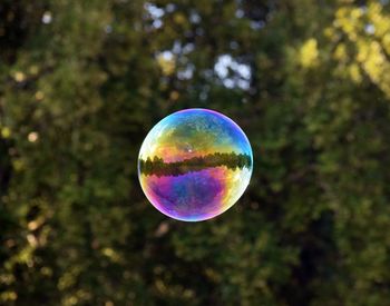 Close-up of bubbles against trees