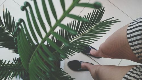 Close-up of hands