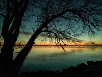 Silhouette tree by lake against sky during sunset