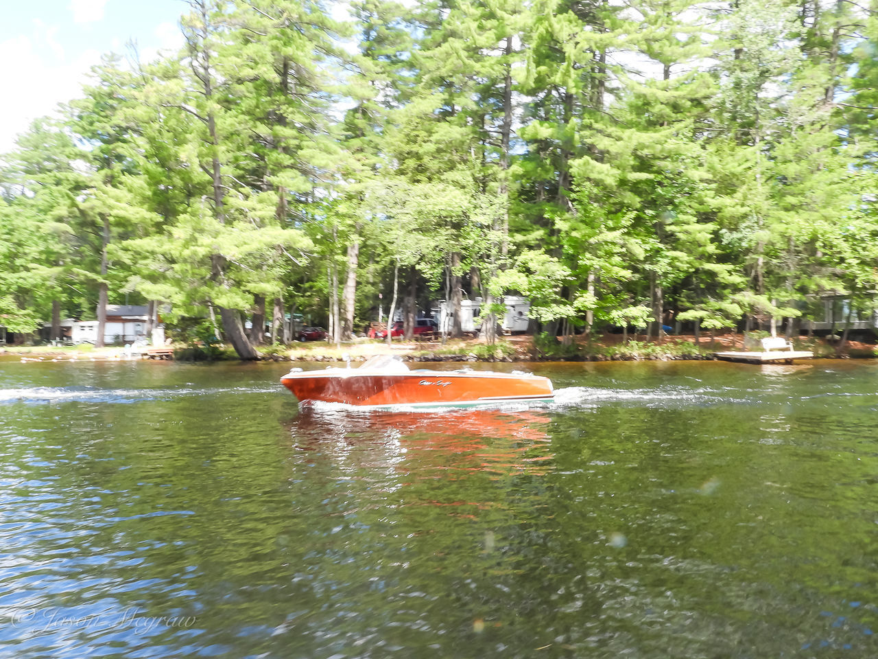 BOAT IN LAKE AGAINST TREES IN FOREST