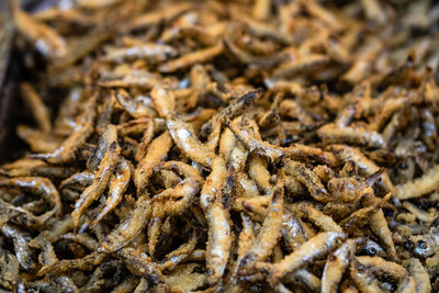 Full frame shot of rusty