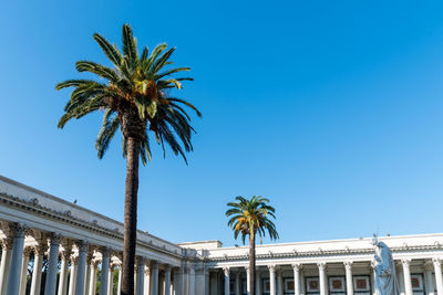 Low angle view of palm trees against blue sky