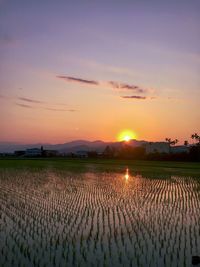 Scenic view of field against sky during sunset