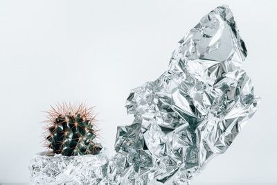 Close-up of cactus in foil wrapped mug against white background