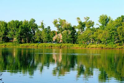 Reflection of trees in calm lake against clear sky