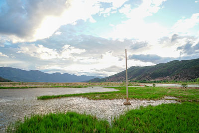 Scenic view of field against sky