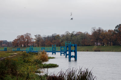 Birds flying over lake against sky