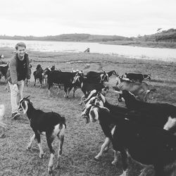 Happy man looking at goats on field
