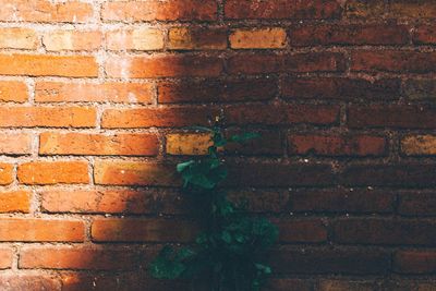 Close-up of brick wall