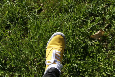 Cropped image of person wearing shoe
