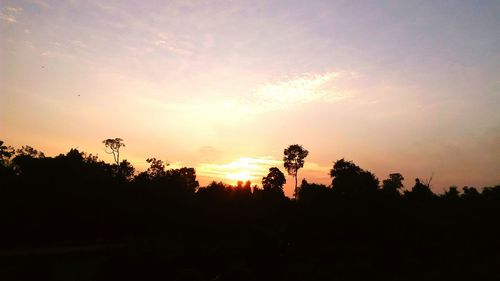 Silhouette of trees at sunset