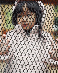 Cute girl in warm clothing looking away seen through chainlink fence