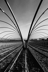 Low angle view of  greenhouse  