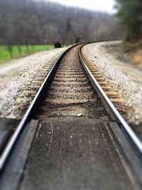 Railroad tracks amidst trees