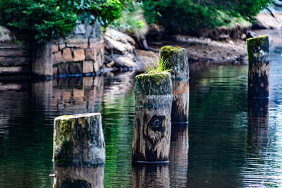 Wooden posts in lake