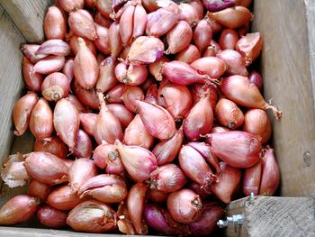 Close-up of onions for sale in market