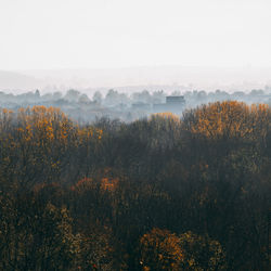 Scenic view of forest against sky during autumn