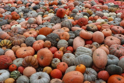 Full frame shot of gourd at market