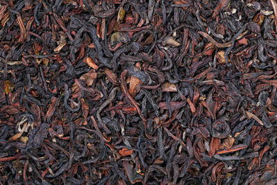 Full frame shot of dry plants