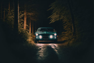 Cars on road in forest