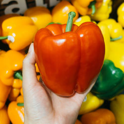 Cropped hand holding red bell pepper