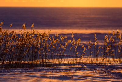 Close-up of sea against sky during sunset